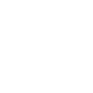 Leon Restaurant Group, est. 2015